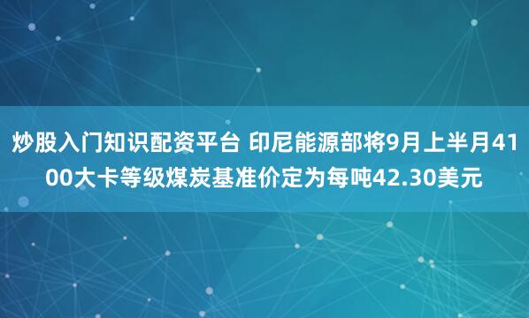炒股入门知识配资平台 印尼能源部将9月上半月4100大卡等级煤炭基准价定为每吨42.30美元