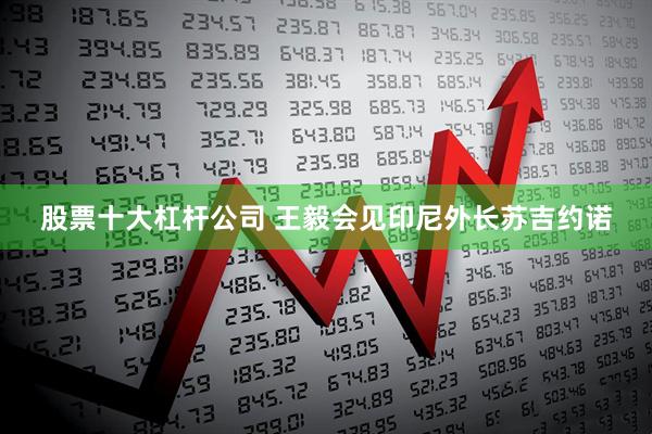 股票十大杠杆公司 王毅会见印尼外长苏吉约诺
