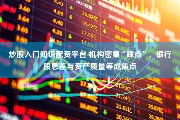 炒股入门知识配资平台 机构密集“踩点”，银行股息差与资产质量等成焦点