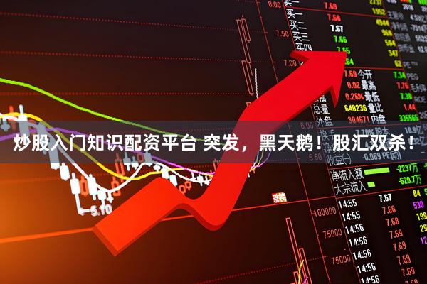 炒股入门知识配资平台 突发，黑天鹅！股汇双杀！